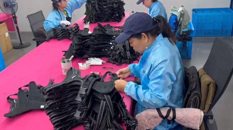 米兰·(milan)中国宠物，无处不在