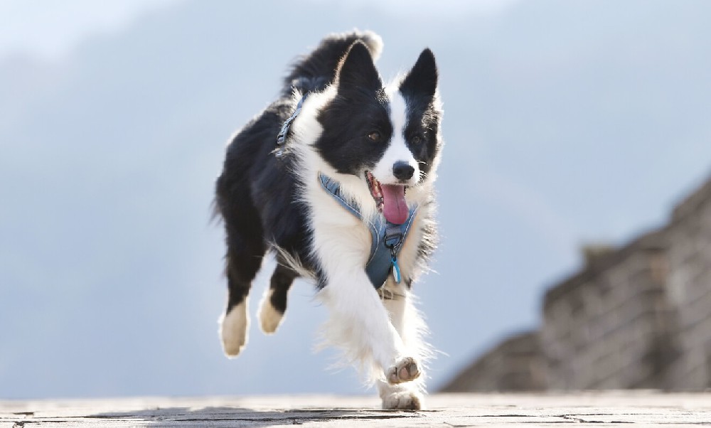 What is website strategy? Why do you need it and how do you do it